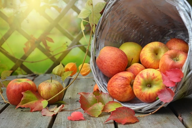 Opdag de overraskende fordele ved æbler